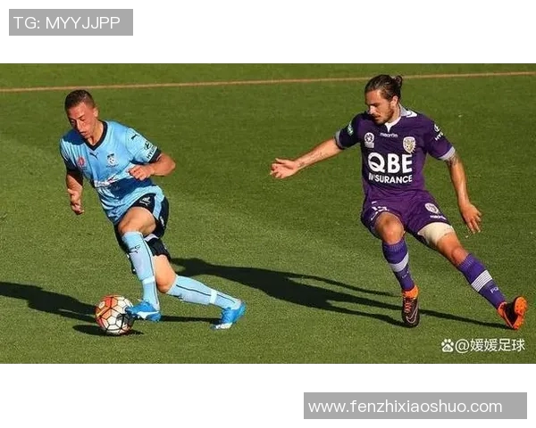 大分三神迎战枥木全力争胜期待精彩对决展现足球魅力