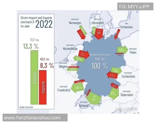 瑞士与波兰比赛主裁判的执法表现分析与影响探讨