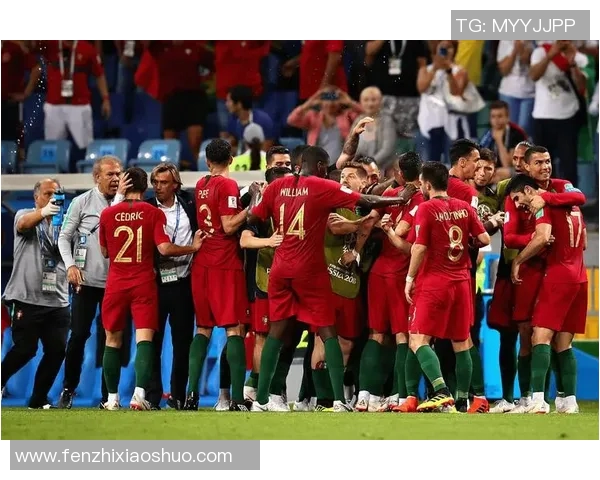 葡萄牙与冰岛足球对决数据分析及比赛回顾