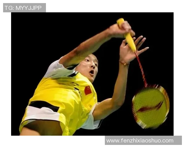 谌龙与林丹巅峰对决精彩回顾视频全程解析与赛后点评