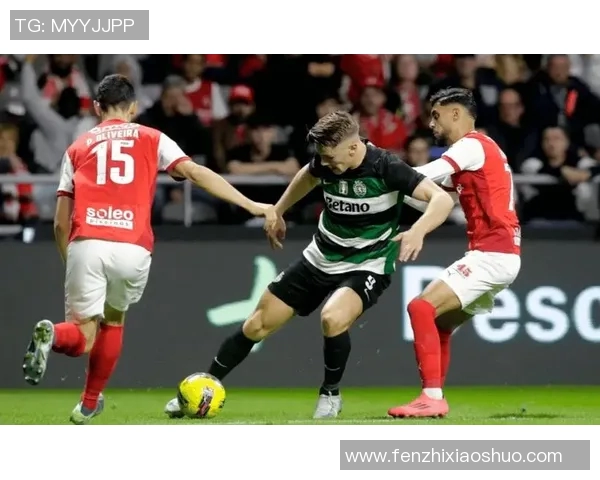 霍芬海姆主场迎战弗赖堡期待激烈对决与精彩进球 霍芬海姆主场迎战弗赖堡期待激烈对决与精彩进球