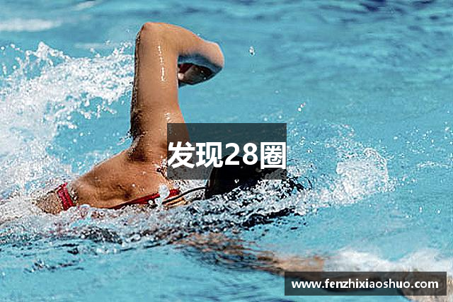 发现28圈